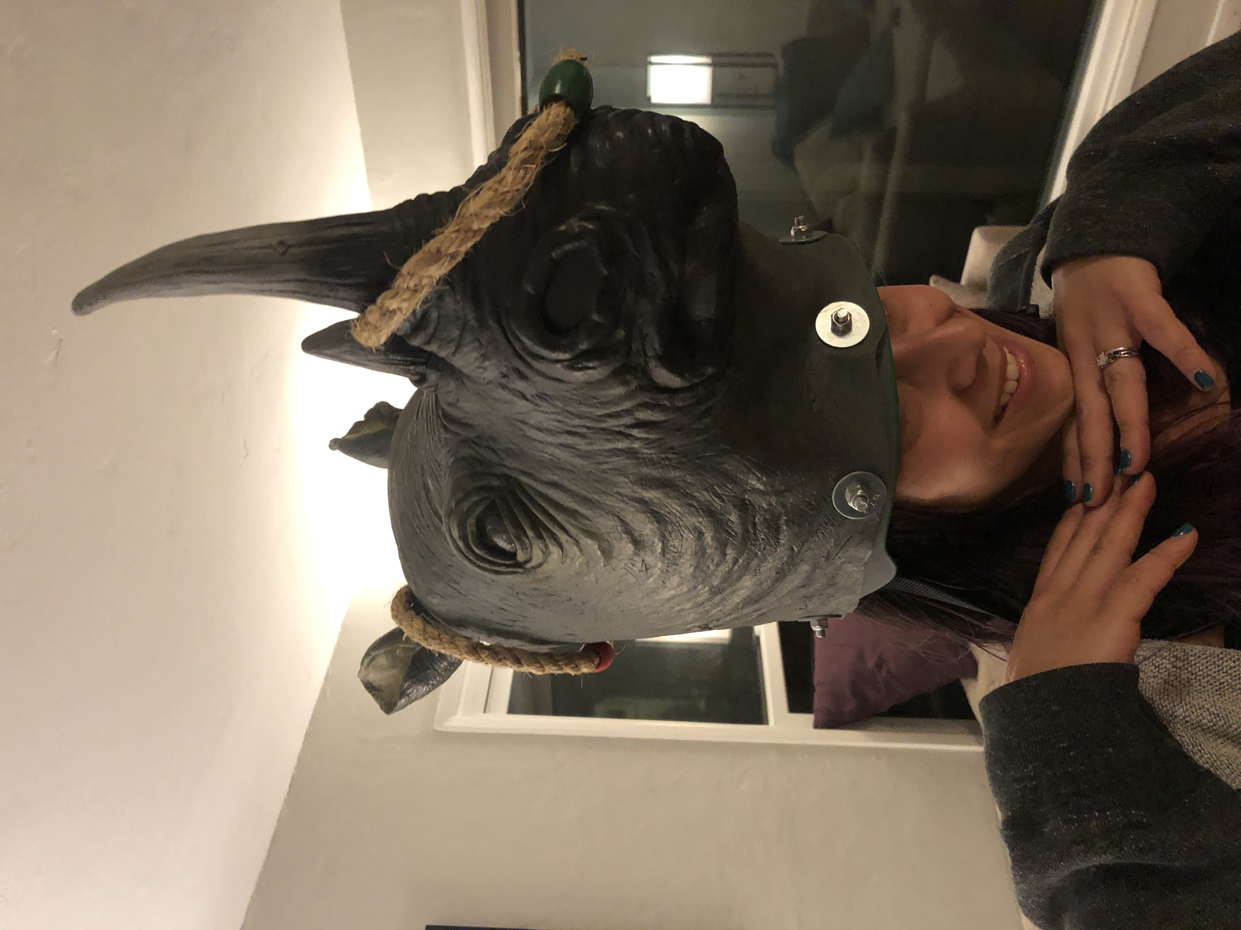 Rhino Head